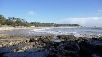 Plage à proximité