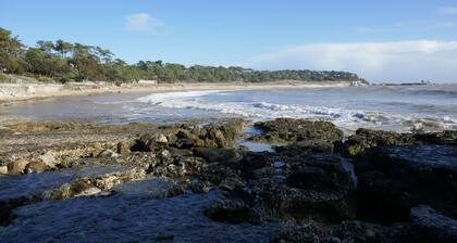 A 350 mĂštres de la plage