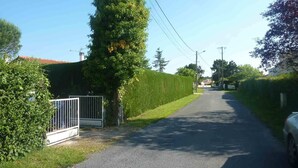 A narrow road flanked by greenery and residential buildings.