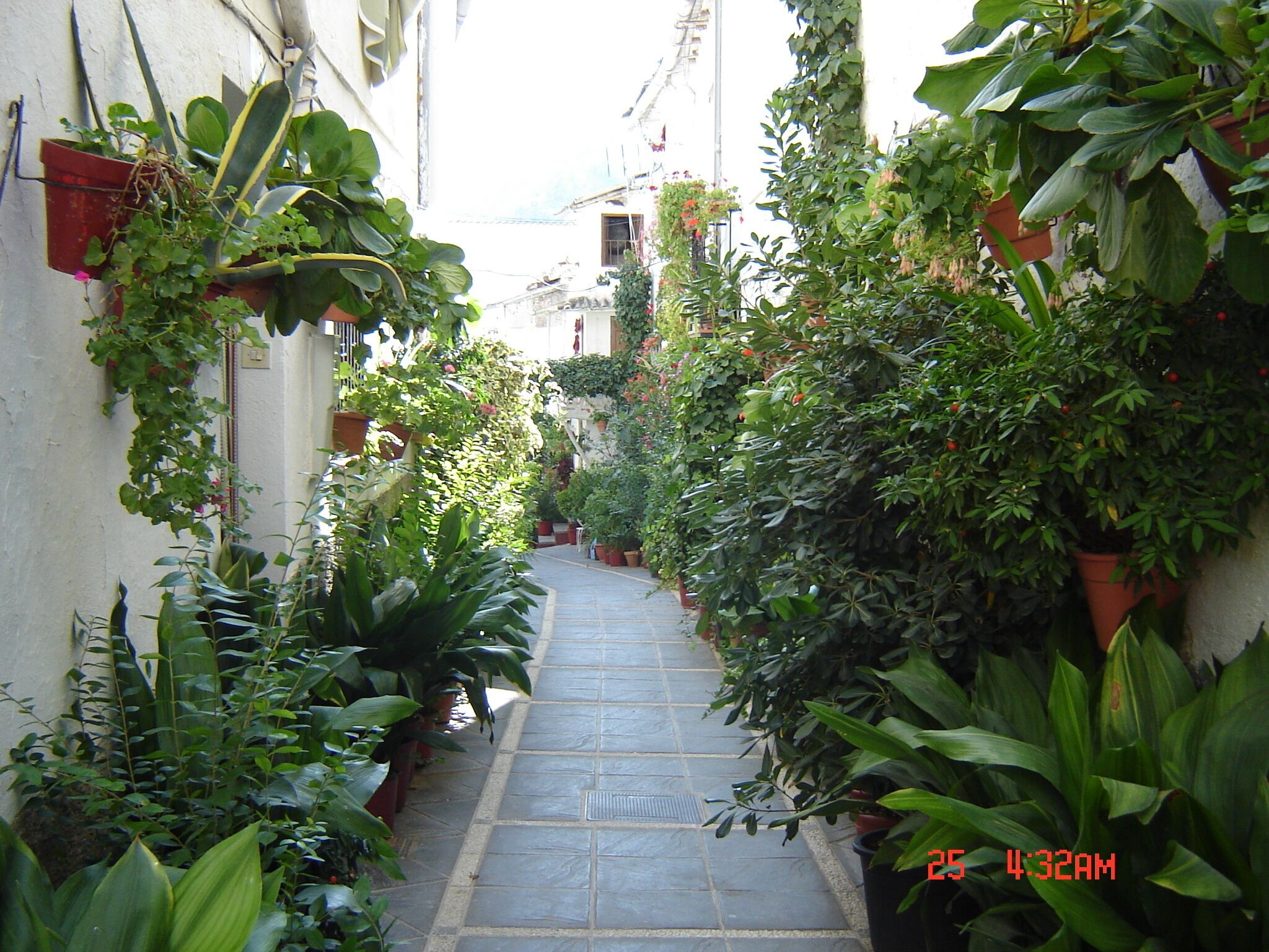 المنطقة المحيطة بالمنشأة