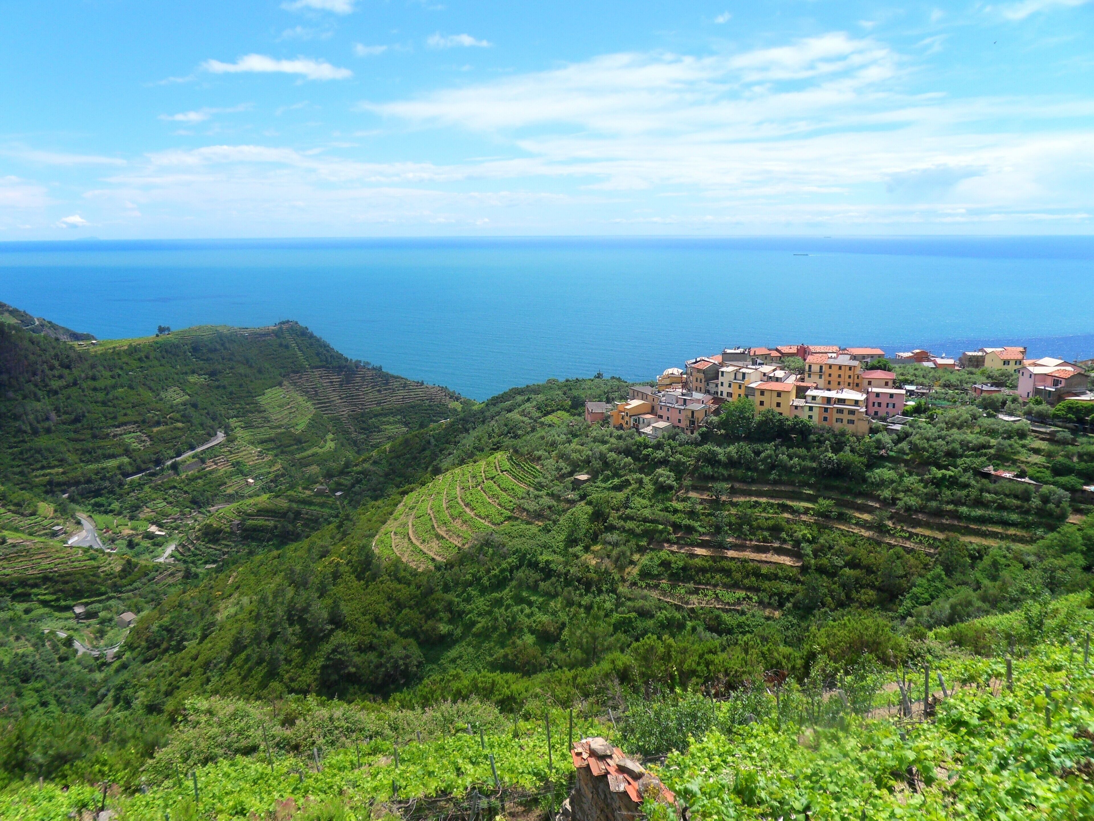 A coastal village with terraced vineyards and colorful buildings.