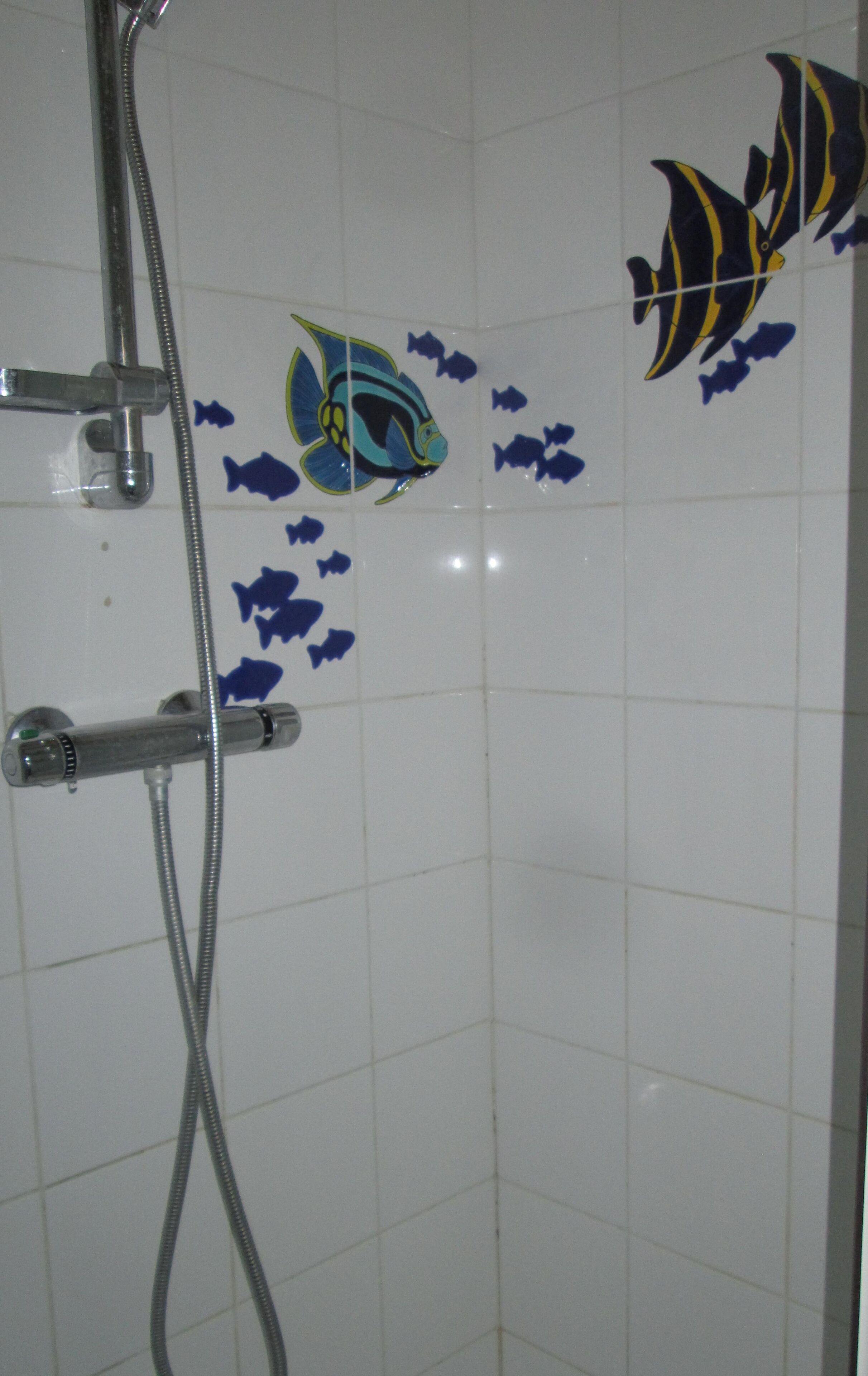 Gîte près LA ROCHELLE, piscine chauffée, ouverte de Pâques à La Toussaint & SPA