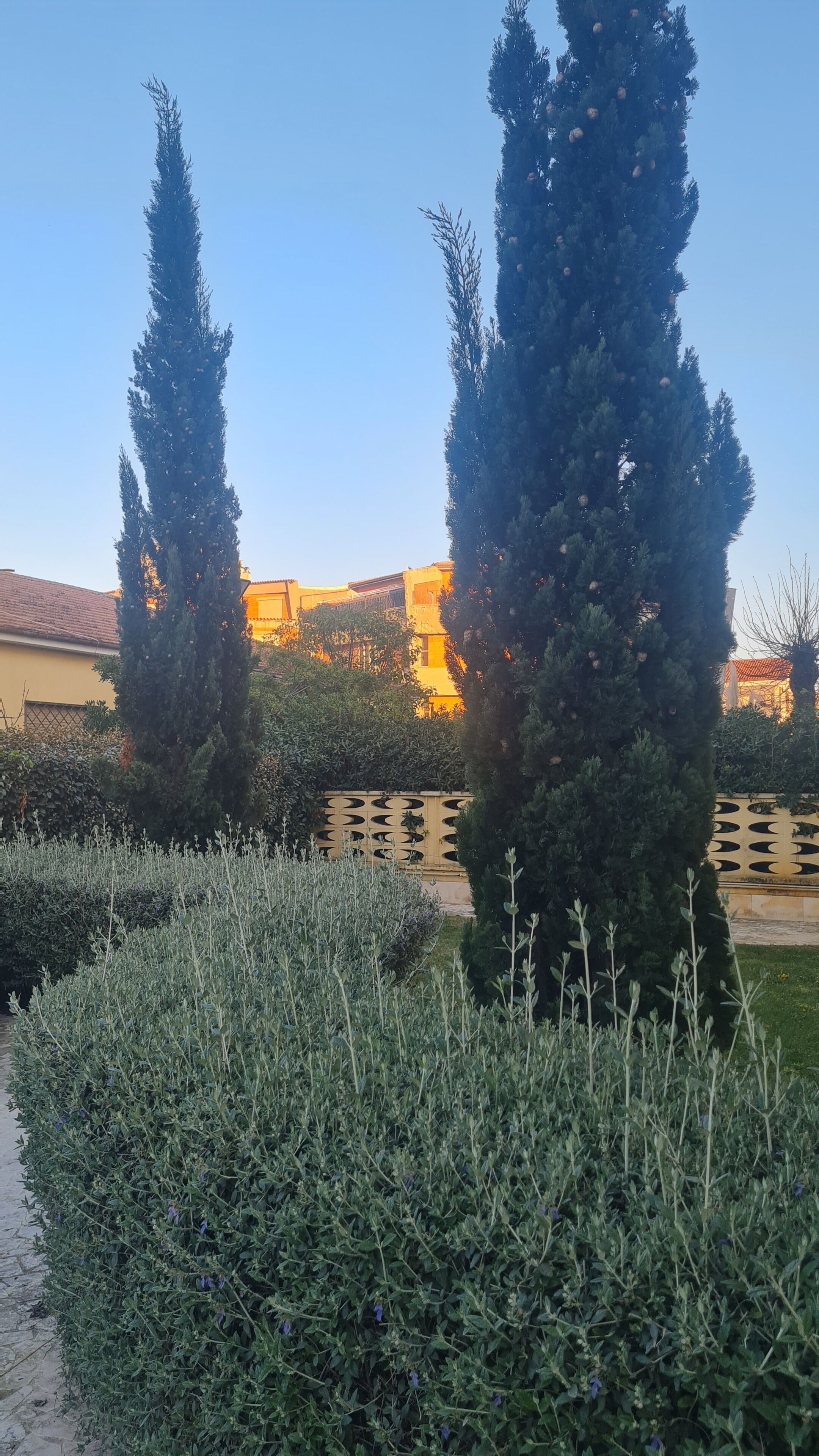 Parco della struttura