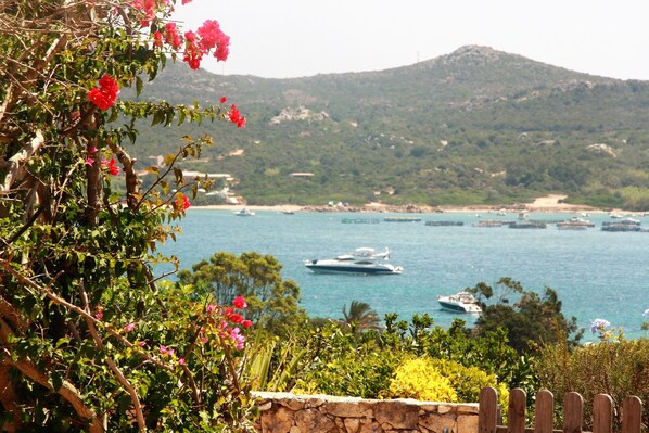 A coastal landscape with boats on the water, greenery, and a stone wall.