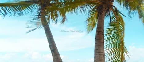 Beach nearby, sun-loungers, beach towels