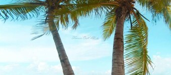 Les Trois Ilets MANGO T2 DRC PRIVATE VILLA WITH POOL