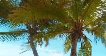 Les Trois Ilets MANGO T2 DRC private Villa mit Pool