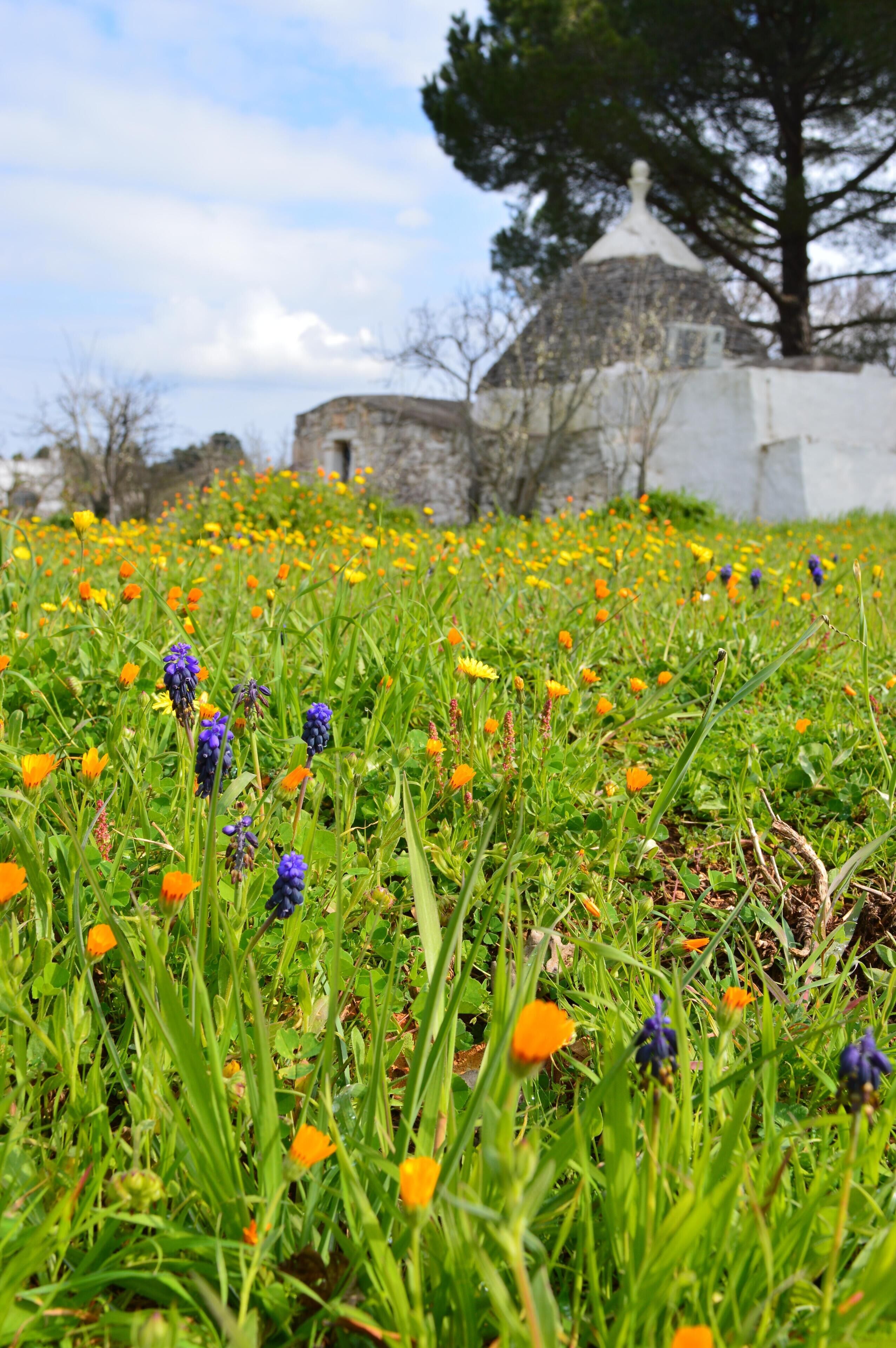 A Romantic Retreat in the Heart of Puglia