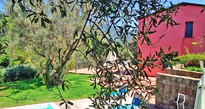 Farmhouse with pool between oranges and lemons trees