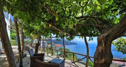 The Lemon Garden House: Stunning Sea View & Italian Style