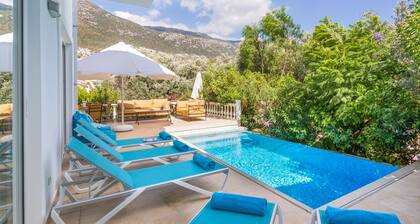 Villa avec piscine privée chauffée et vue sur la mer