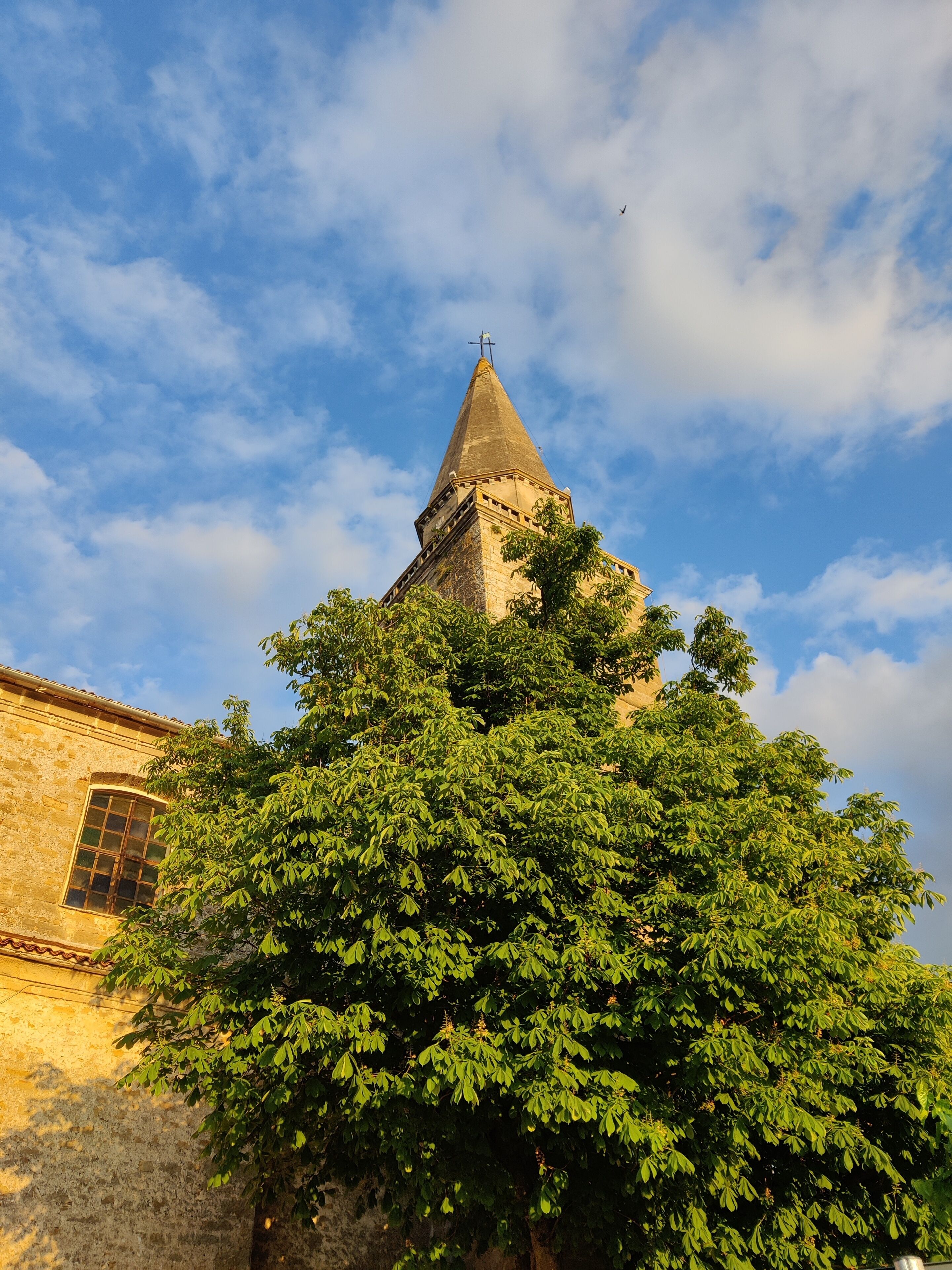 Une église dotée d’un clocher imposant et d’un grand arbre au premier plan.