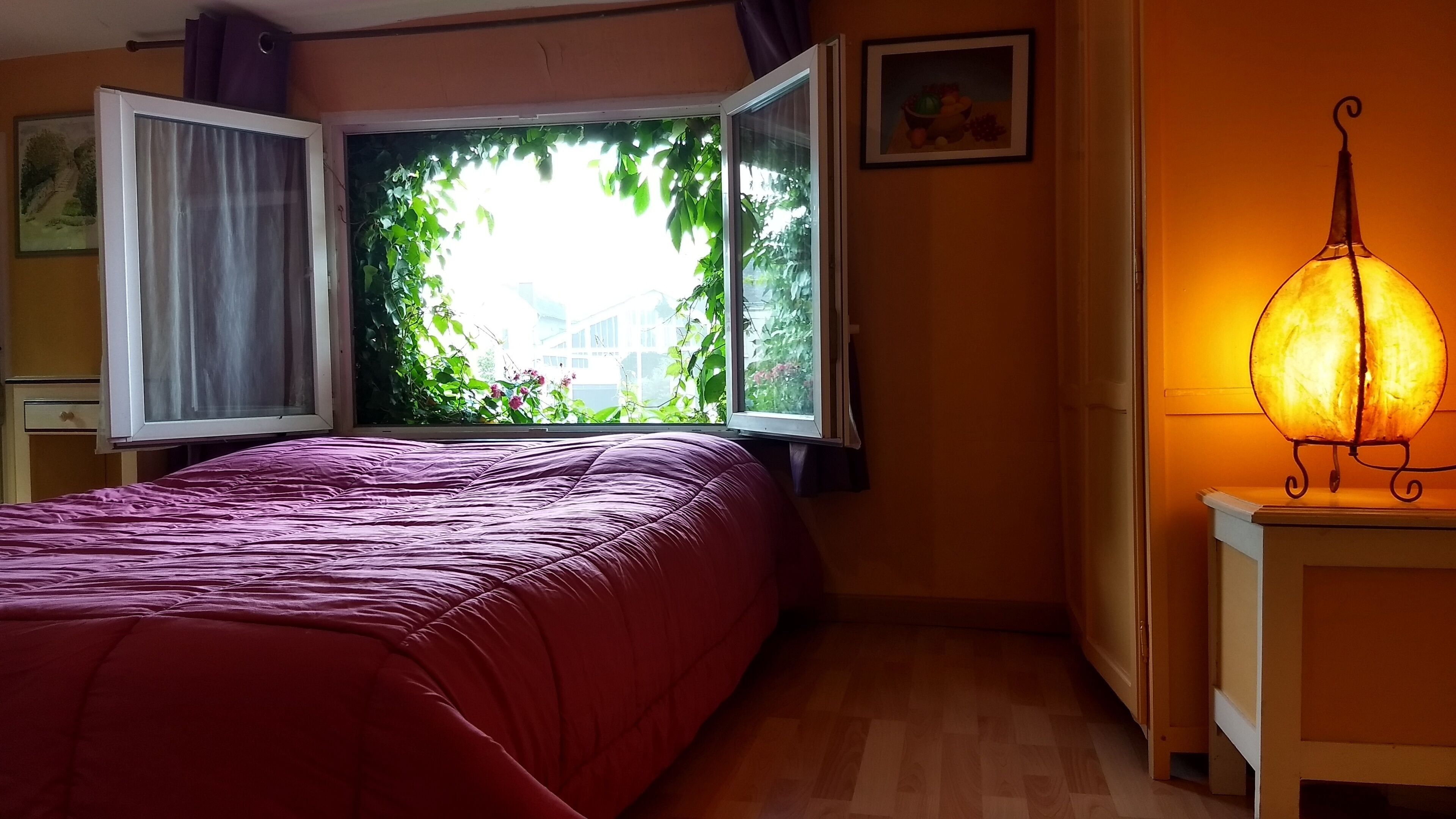 Ein Zimmer mit einem Bett, einem mit Vorhängen versehenen Fenster, einer Lampe und einem Bild an der Wand.