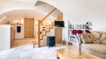 Télévision, cheminée, livres, médiathèque