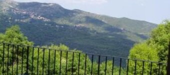 Apartment/ flat - Pieve