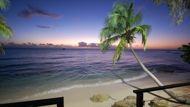 A beach scene with a palm tree, ocean waves, and a sunset. - 4 Bed Colonial Style Villa with pool in private setting, short walk to 2 beaches (Gibbes)