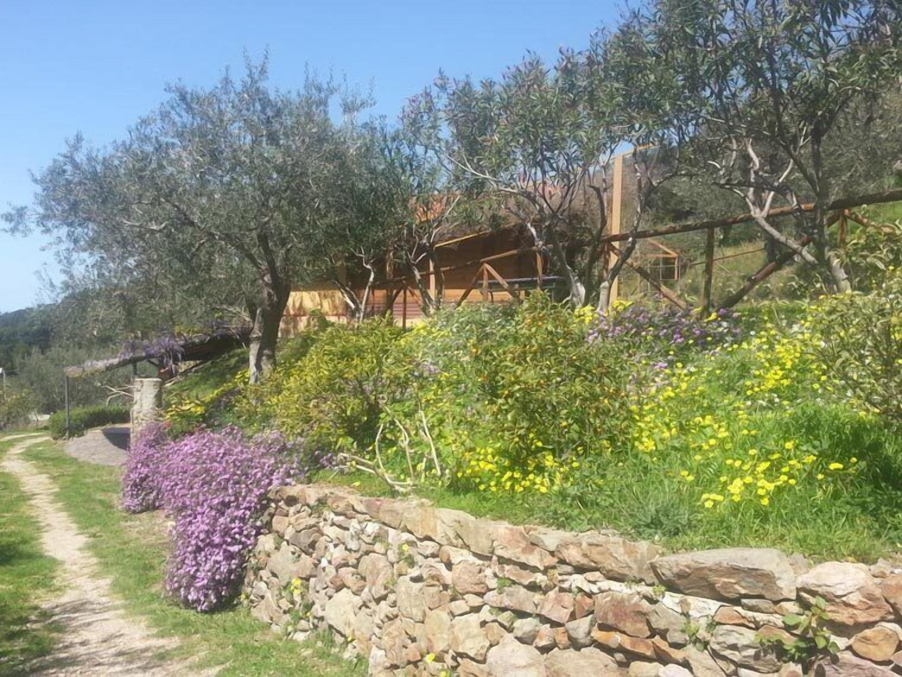 A stone wall with a path leading to a wooden building surrounded by lush greenery and flowering plants.