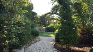 Un sentiero in pietra che attraversa un rigoglioso giardino, con diverse piante e un muro di pietra sullo sfondo.