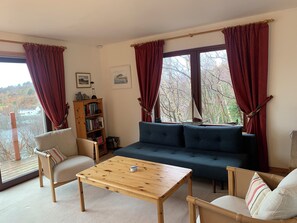 TV connectée, cheminée, livres