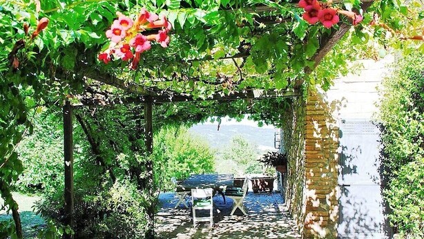 Un'area giardino con una pergola ricoperta di viti fiorite, un muro in mattoni e posti a sedere all'aperto.
