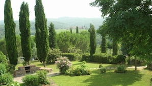 Un jardí ben cuidat amb una zona de barbacoa de pedra, filades ordenades i arbres alts.
