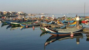 Un port de plaisance où de nombreux bateaux sont amarrés, avec une eau calme et des bâtiments en arrière-plan.
