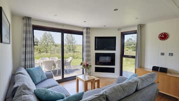 Flat-screen TV, fireplace, DVD player, books