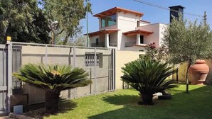 Uma casa moderna de dois andares com quintal cercado, palmeiras e um grande vaso de barro.