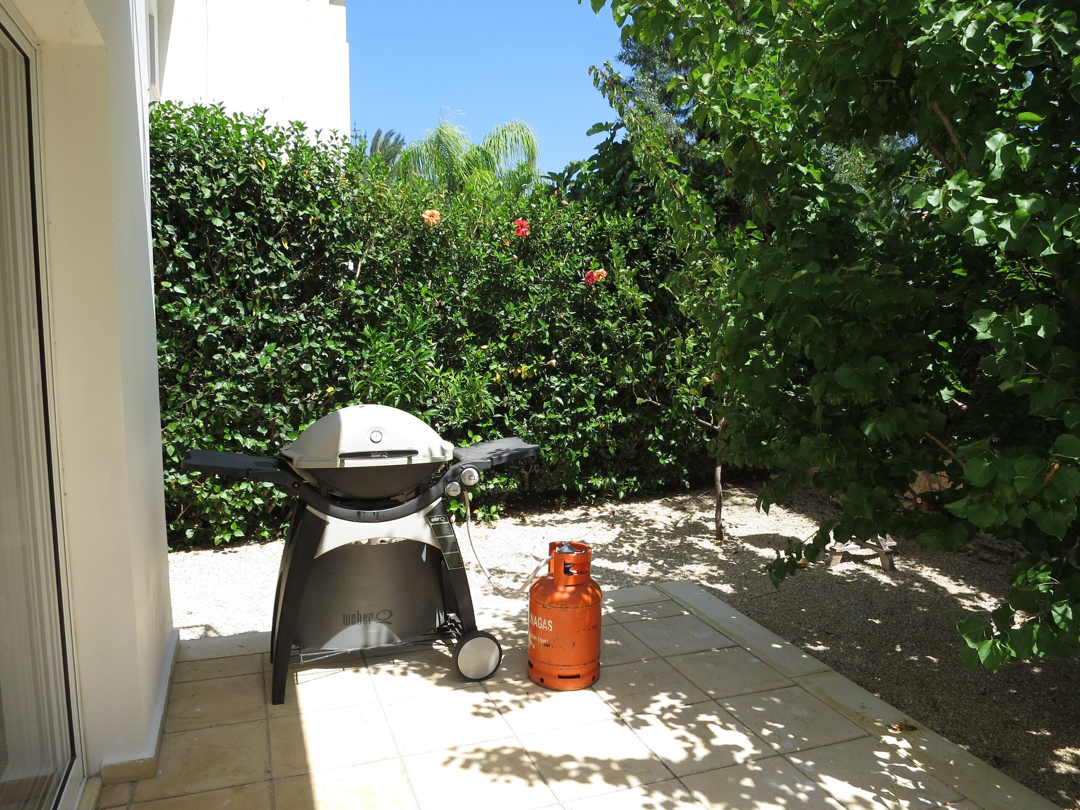 Un espace patio équipé d’un barbecue Weber et d’une bouteille de propane.