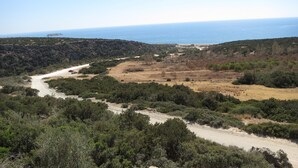 Un paisaje costero con un camino de tierra que serpentea a través de vegetación densa, hacia una playa.