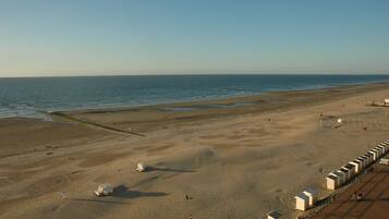 Ubicación a pie de playa y tumbonas