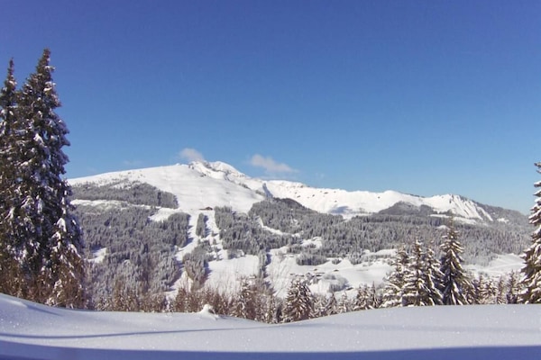 Mountain view