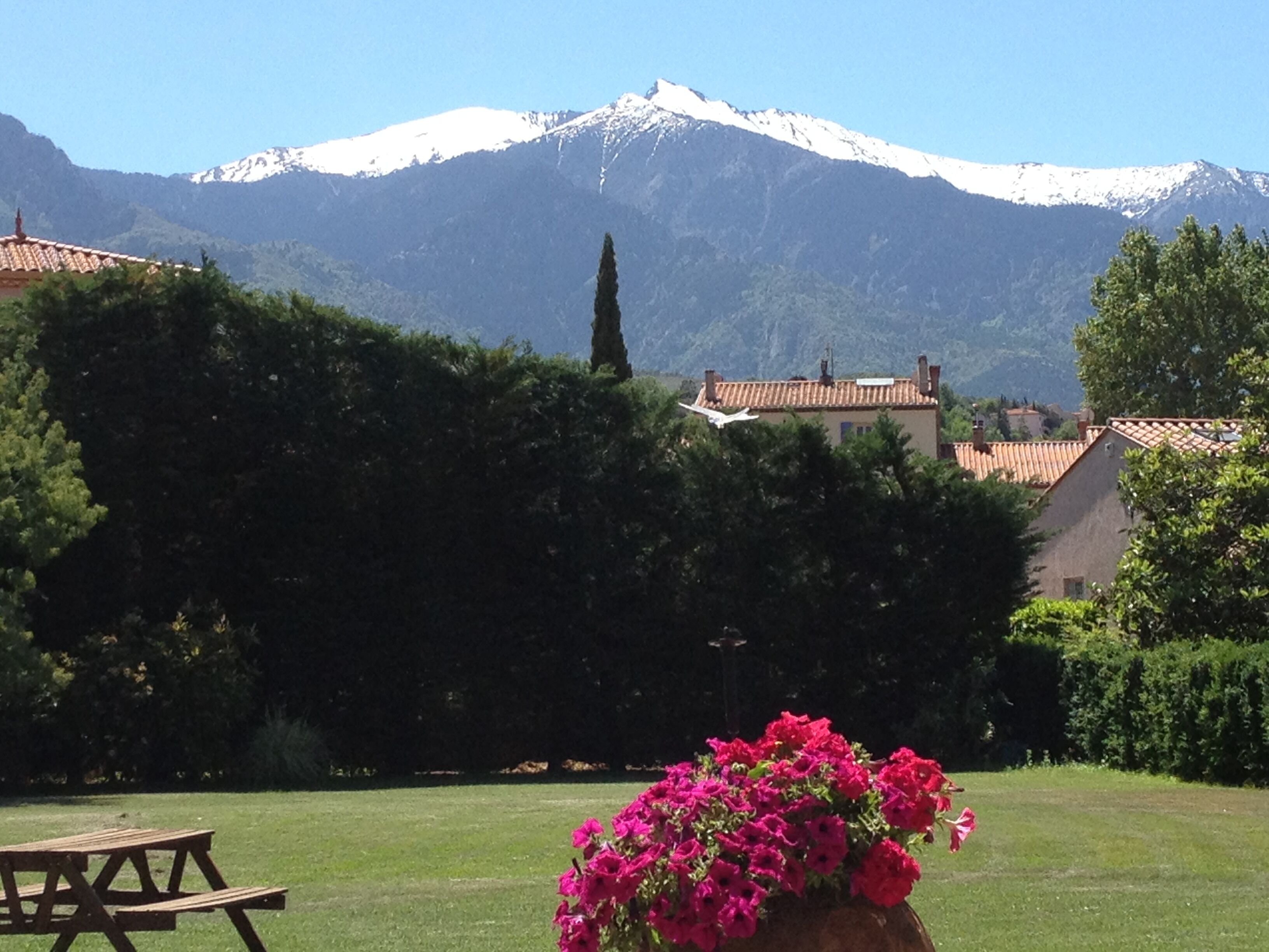 Two person gite in town of Prades (2 people maximum)