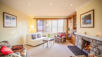 Smart TV, fireplace, DVD player, books