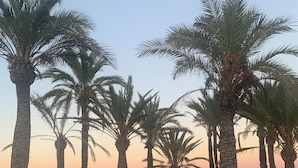 Solsenger