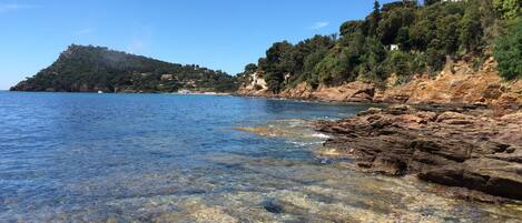 A coastal landscape with clear water, rocky shore, and a hill with buildings.