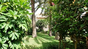 Property grounds - Spacious town house WiFi, Air con, central location sought after Belgravia Club (Estepona)