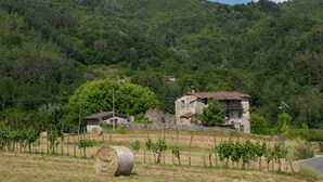 A rural landscape with a stone building, vineyards, and a hill with trees. - Spacious 5 bedroom villa with private pool, full wheelchair access with lift (Garfagnaana)