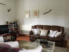 Smart TV, fireplace, video games, DVD player