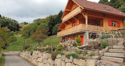 Nature and mountains Vosges Alsace: recharge your batteries "Au bout du Chemin"