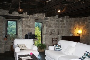 TV, fireplace, books