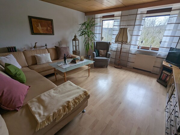 Smart-TV, DVD-Player, Bücher, Stereoanlage