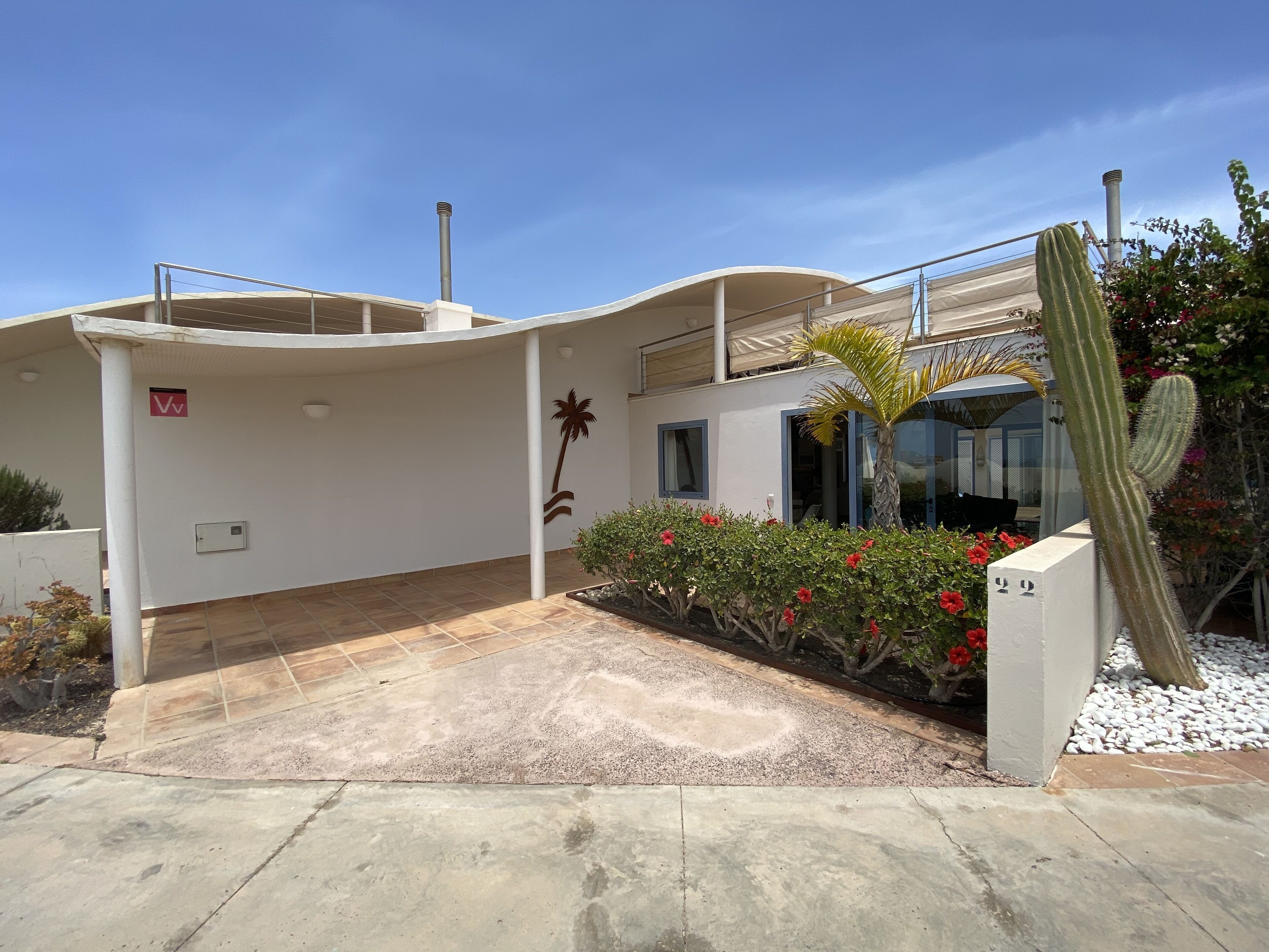 A modern building with a curved roof, a palm tree, and a cactus in the garden.