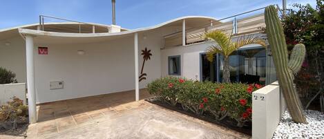 A modern building with a curved roof, a palm tree, and a cactus in the garden.