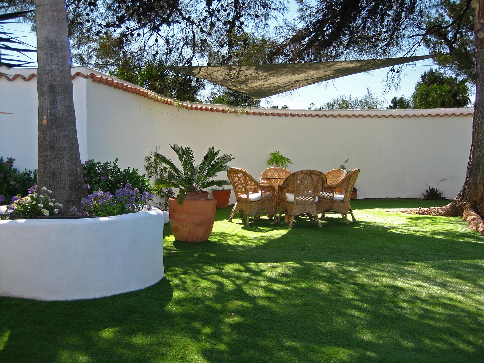 A patio with a white wall, a palm tree, and a table with wicker chairs.
