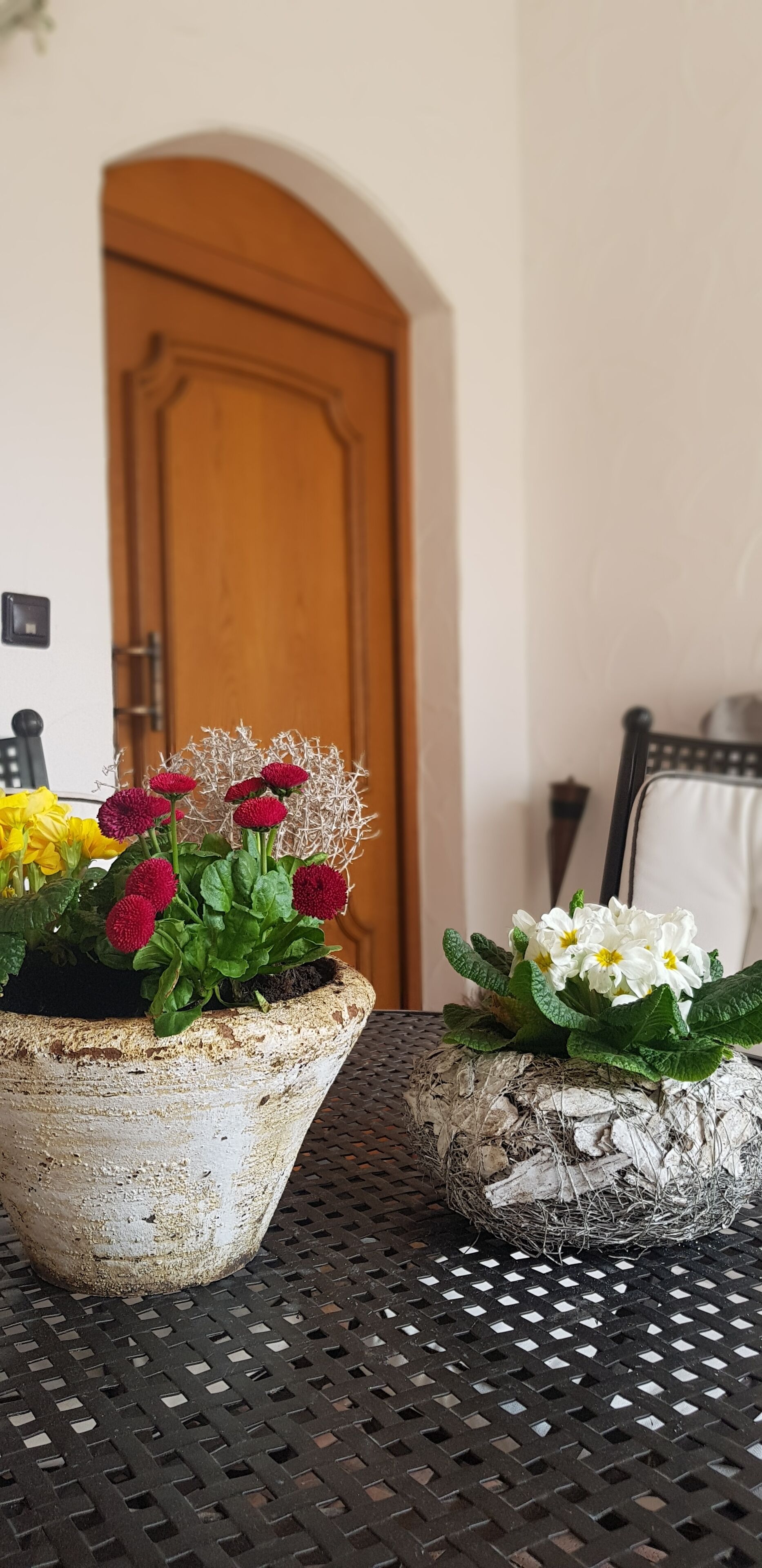 Herzlich Willkommen in der Ferienwohnung Meyer!