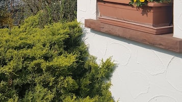 Detalj exteriör