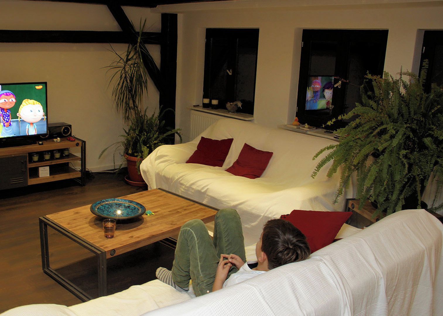 A living room with a television displaying animated characters, a sofa, a coffee table, and a potted plant.