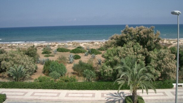 A coastal landscape with a beach, palm trees, and a clear sky.