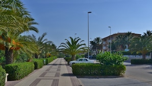 A paved pathway lined with palm trees and a white car parked on the side.